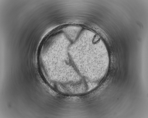 X0000111680784200908141449