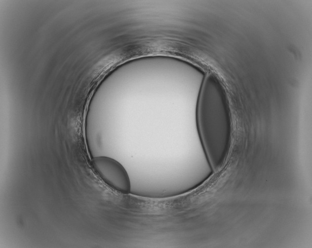 X0000111680785200908141449