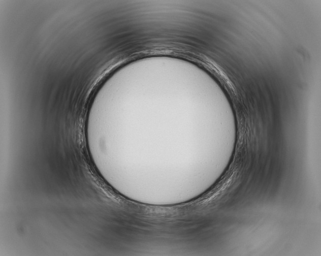 X0000111680786200908141449