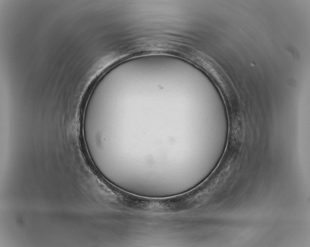 X0000111680787200908141449