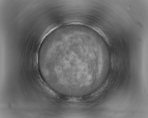 X0000111680790200908141449