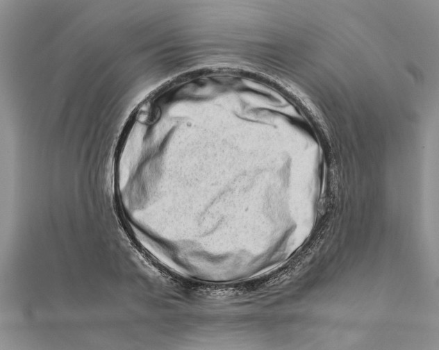 X0000111680791200908141449