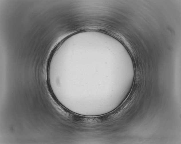 X0000111680795200908141449