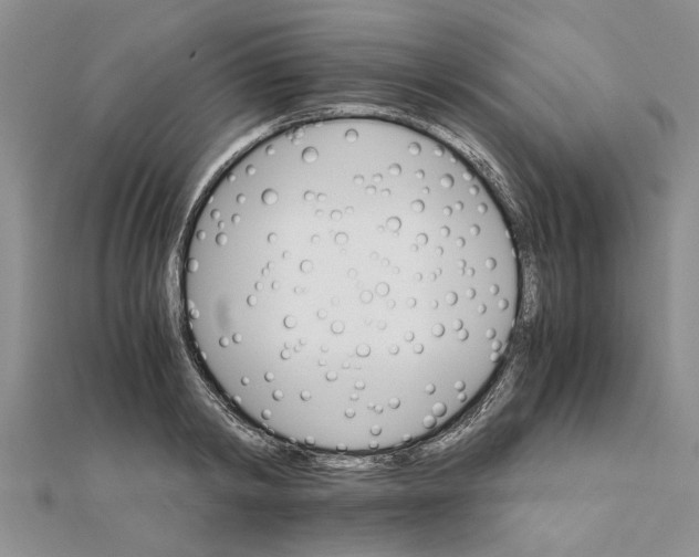 X0000111680798200908141449