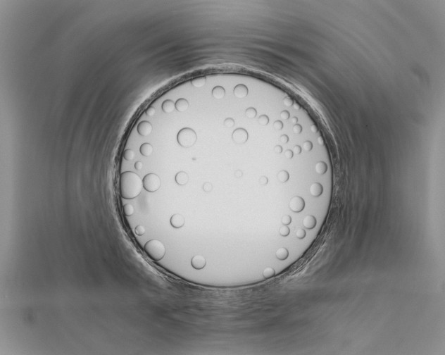 X0000111680799200908141449