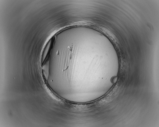 X0000111680800200908141449