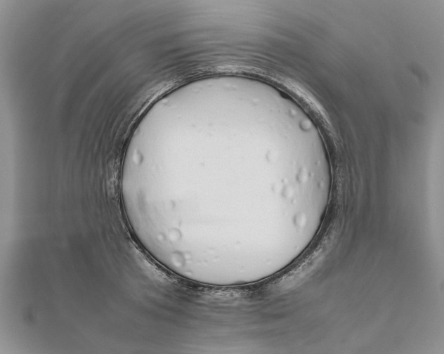 X0000111680801200908141449