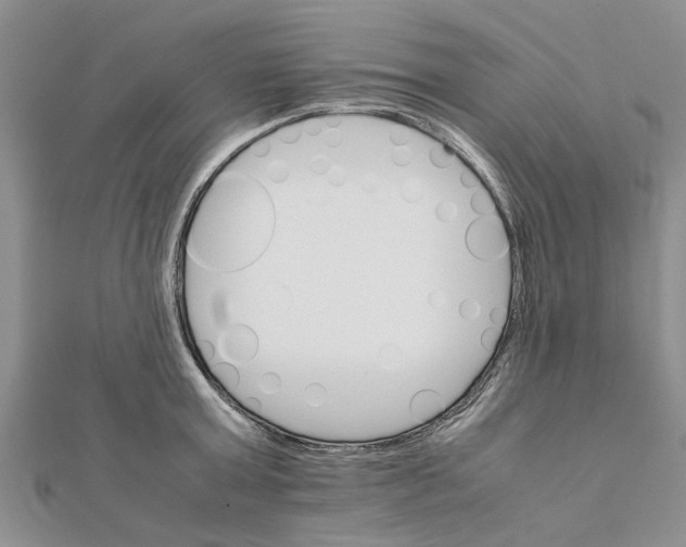 X0000111680803200908141449