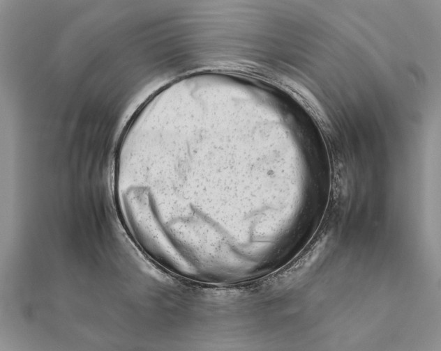 X0000111680804200908141449