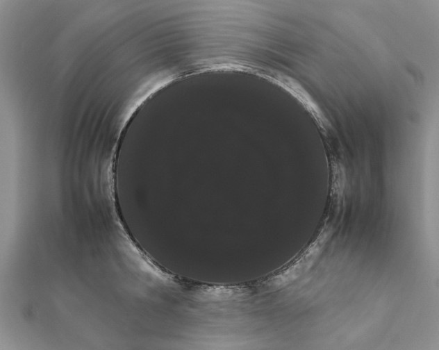 X0000111680806200908141449