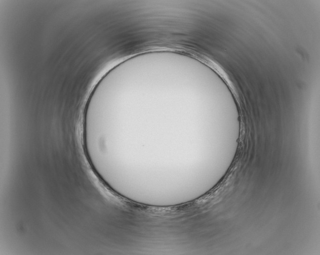 X0000111680811200908141448