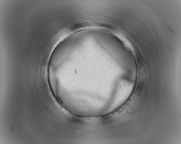 X0000111680813200908141448