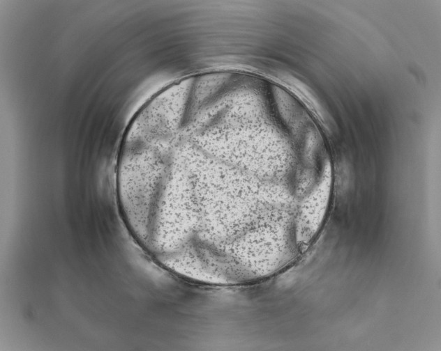 X0000111680814200908141448