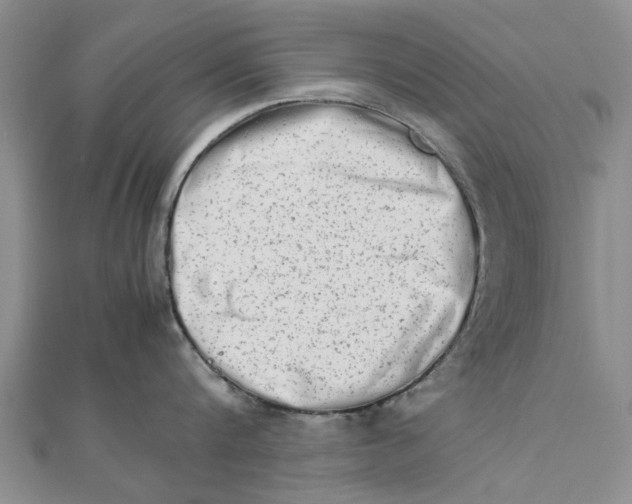 X0000111680816200908141448