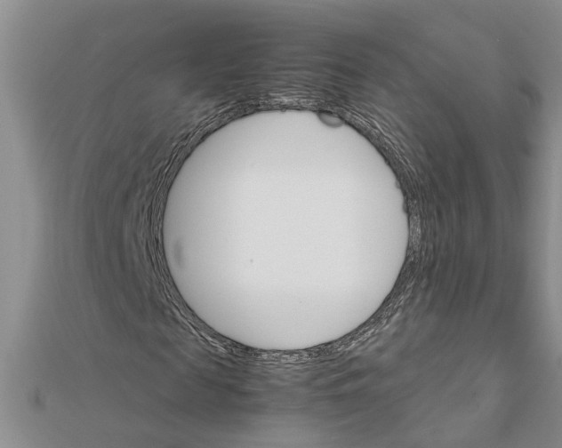 X0000111680817200908141448