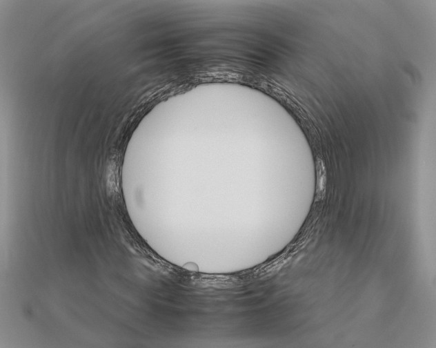 X0000111680819200908141448