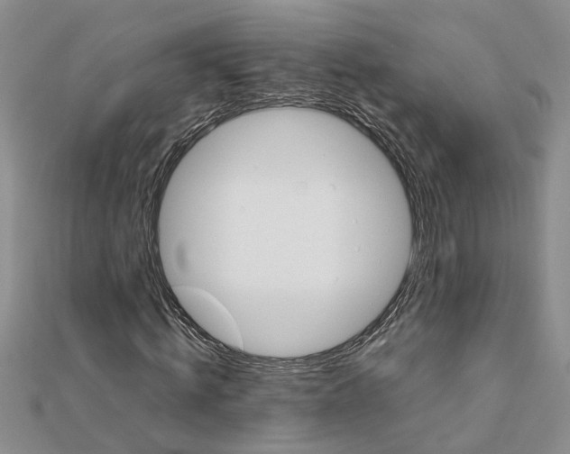 X0000111680820200908141448