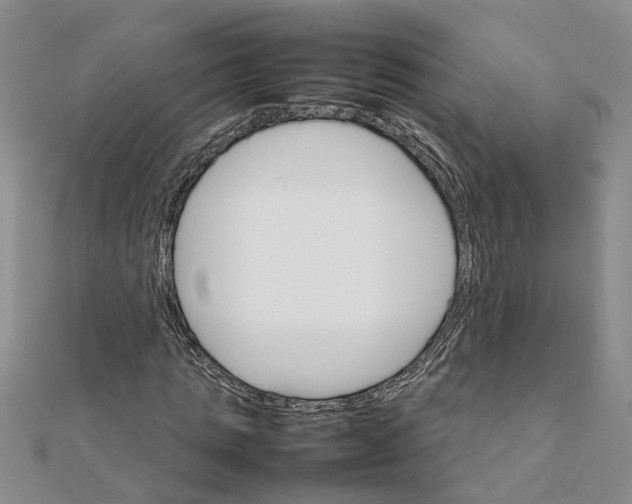 X0000111680821200908141448