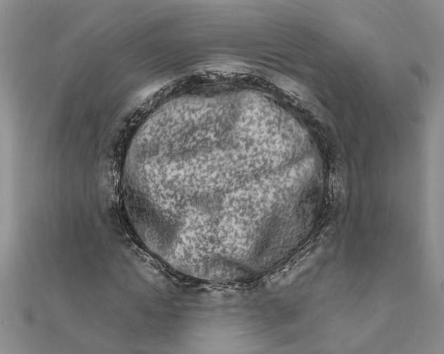 X0000111680822200908141448