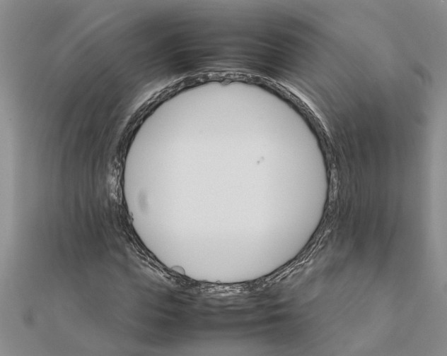 X0000111680823200908141448