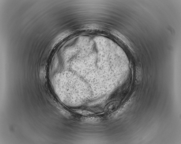 X0000111680826200908141448