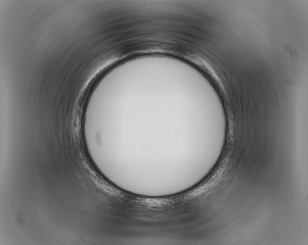 X0000111680827200908141448