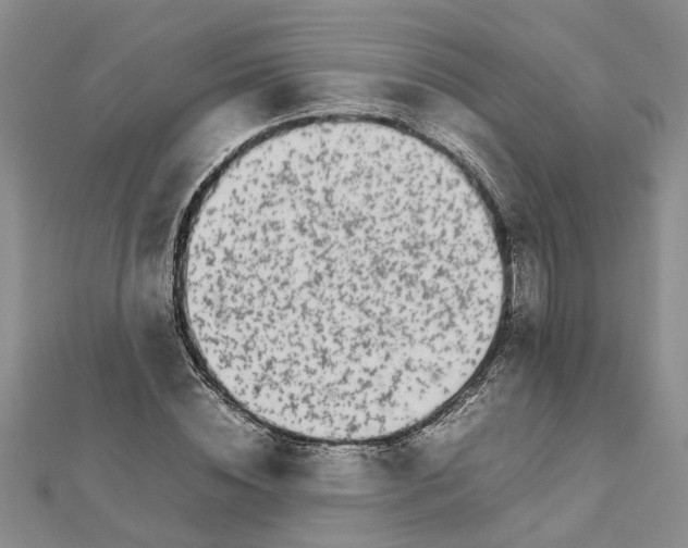 X0000111680828200908141448