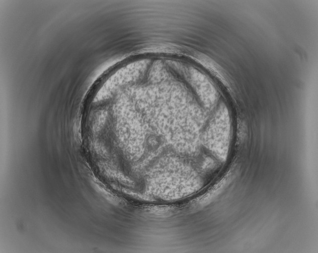 X0000111680830200908141448