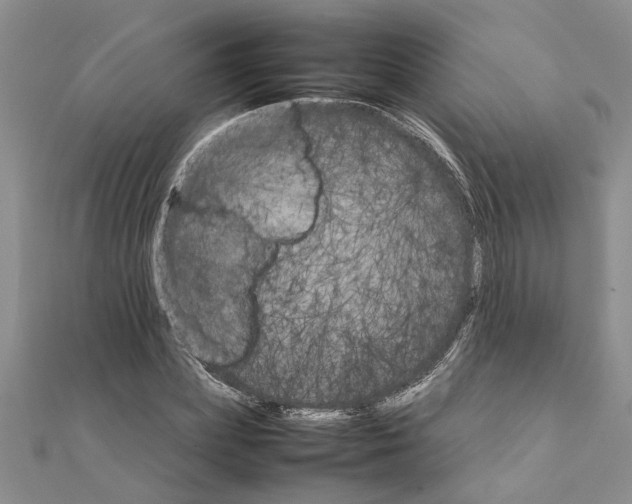 X0000111680831200908141448