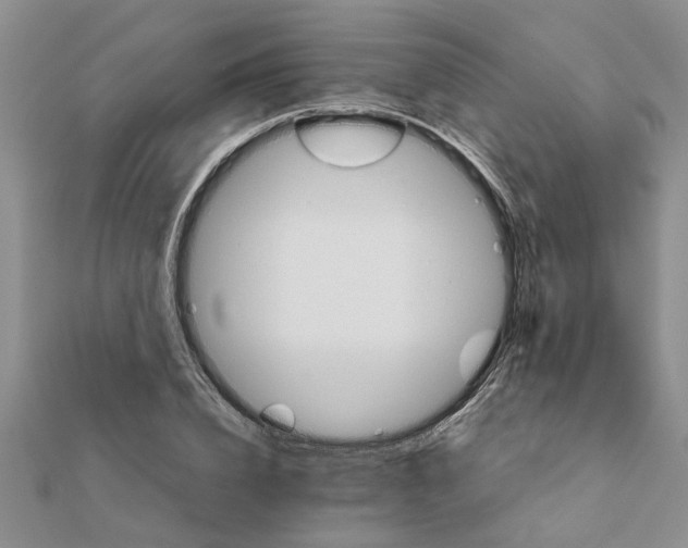 X0000111680832200908141448