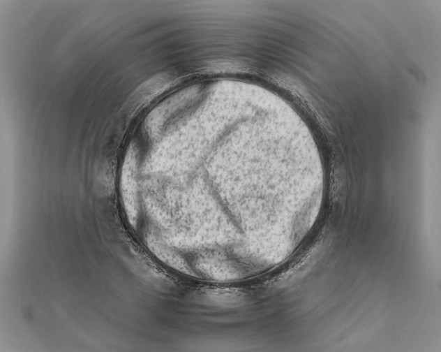 X0000111680833200908141448