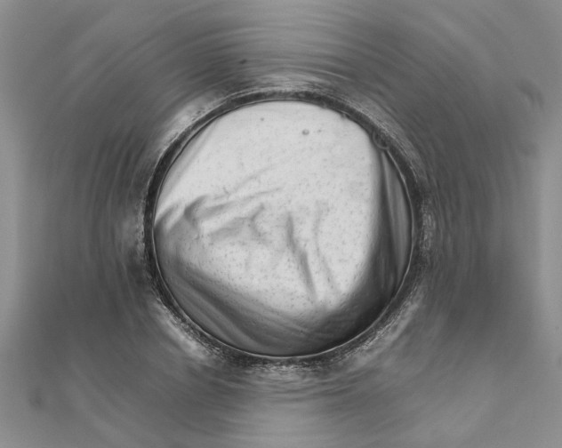 X0000111680834200908141448