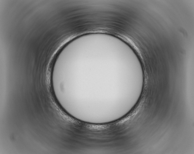 X0000111680835200908141448