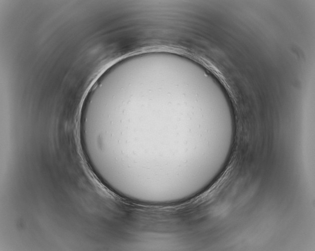 X0000111680836200908141448