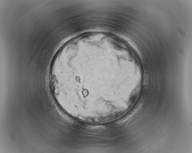 X0000111680837200908141448