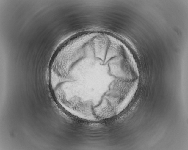 X0000111680839200908141448