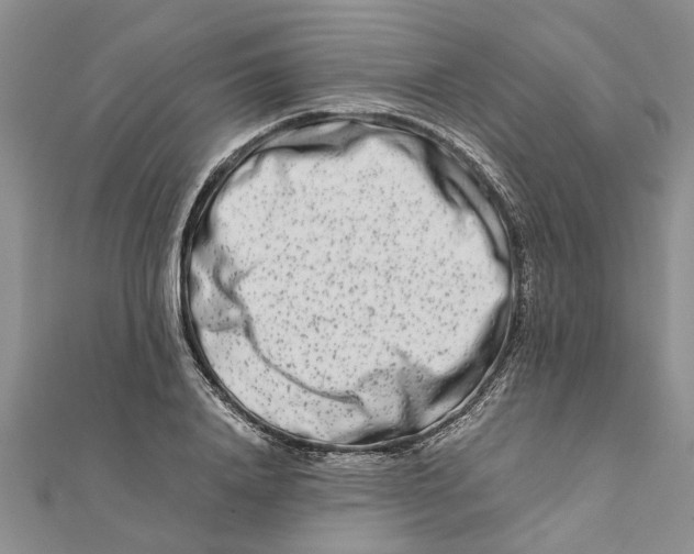 X0000111680840200908141448