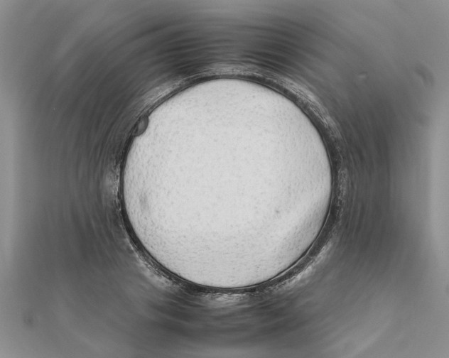 X0000111680841200908141448