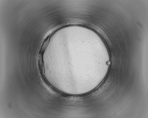 X0000111680842200908141448