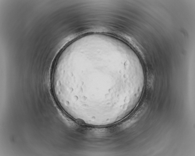 X0000111680845200908141448