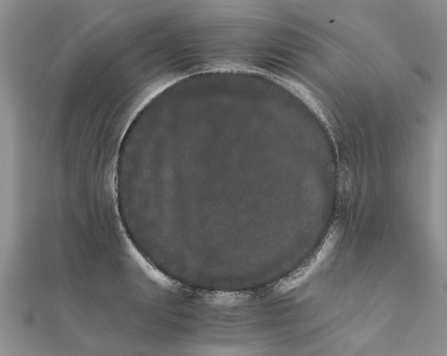 X0000111680847200908141448