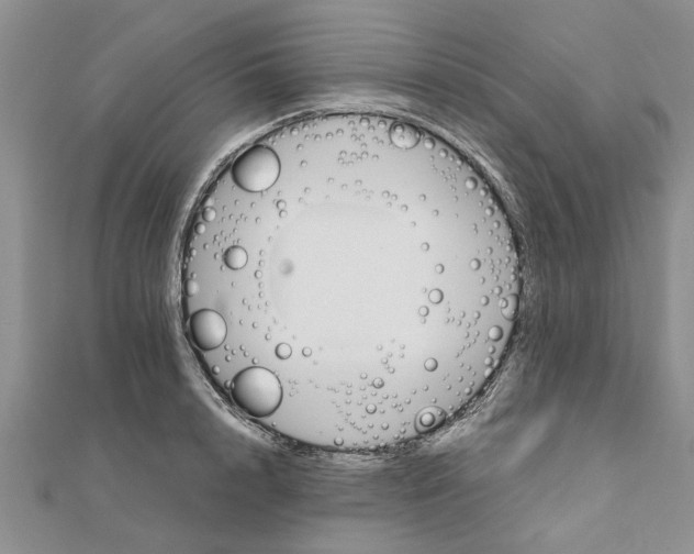 X0000111680848200908141448