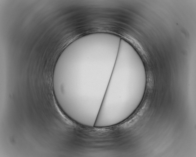 X0000111680849200908141448