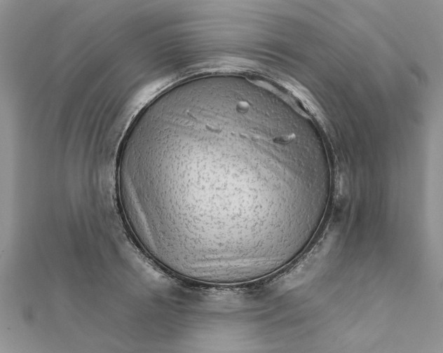 X0000111680850200908141448