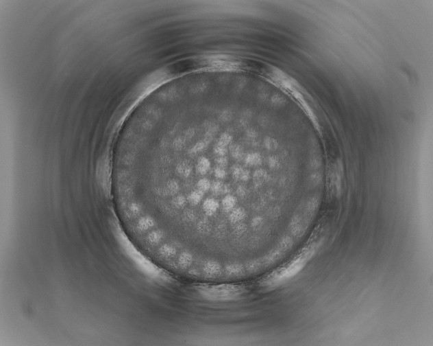 X0000111680851200908141448