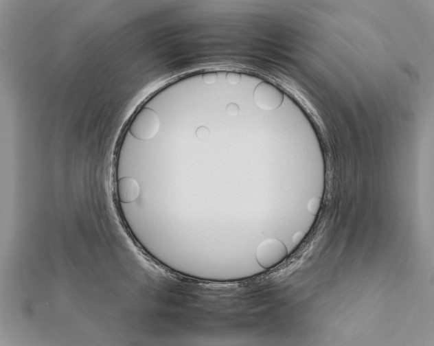 X0000111680853200908141448