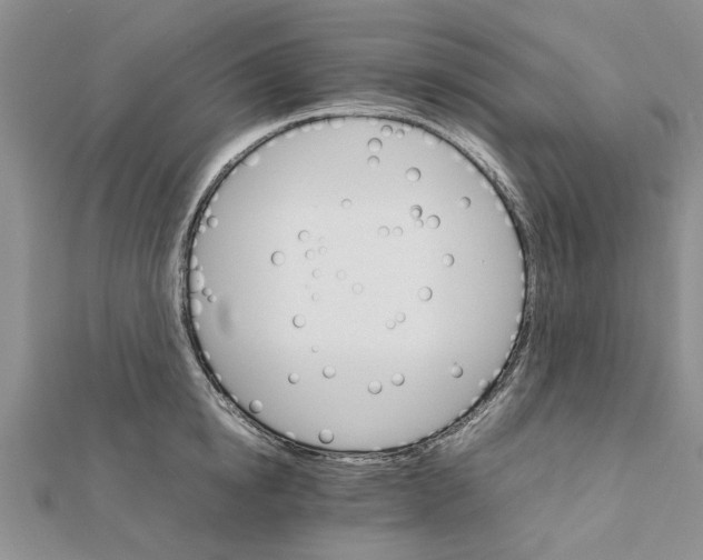 X0000111680854200908141448