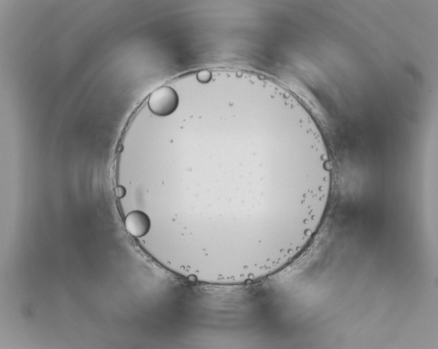 X0000111680856200908141448