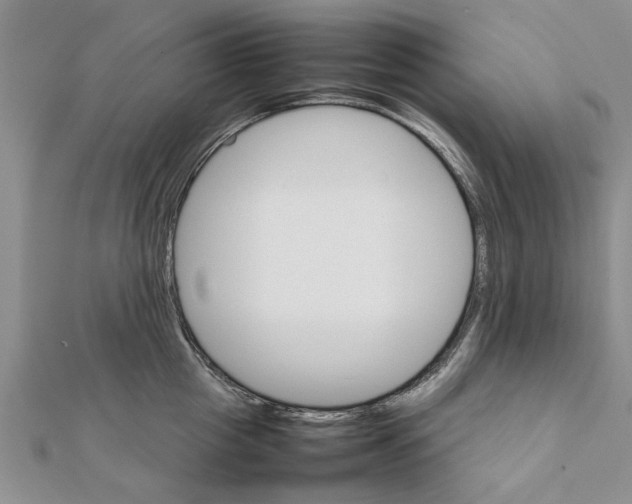 X0000111680857200908141448