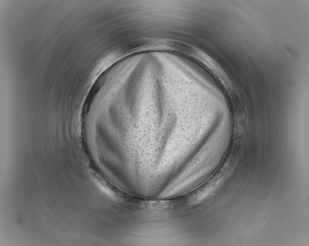 X0000111680858200908141448